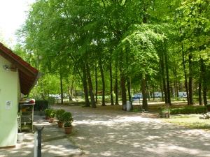 p1100523