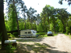 p1100531