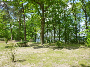 p1100532