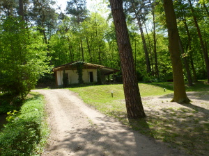 p1100539